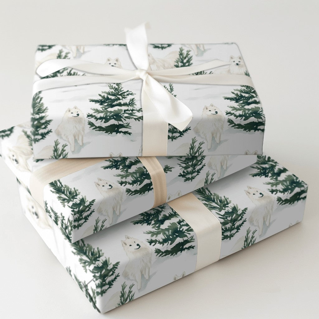 Product 7