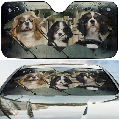 King Charles Spaniels Car Sun Shade, Dog Windshield Visor, Rainy Day Road Trip, Cavalier Puppy Accessory, Pet Lover Gift Car Sunshade
