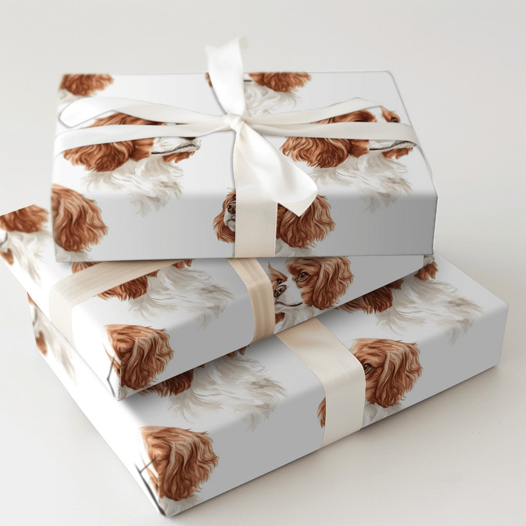 Product 5