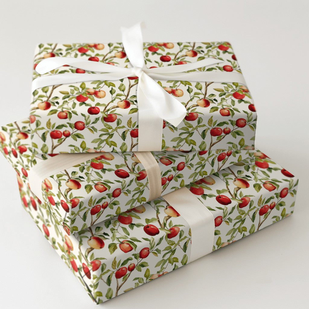 Product 5