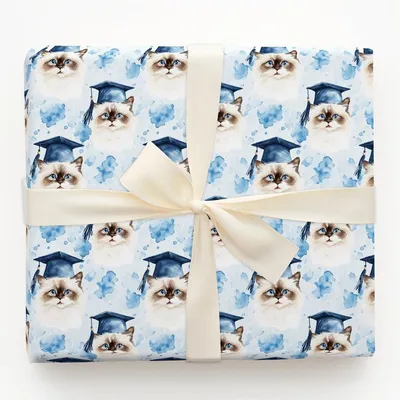 Ragdall Graduate - Gift Wrap for Christmas, Holidays Wrapping Paper, Christmas Wrapping Paper