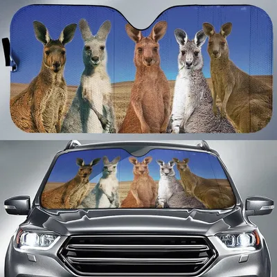 Funny Face Of Kangaroos For Animals Lovers Printed Car Sun Shade Cover Auto Windshield PrintSyde