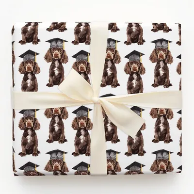 English Springer Graduate - Gift Wrap for Christmas, Holidays Wrapping Paper, Christmas Wrapping Paper