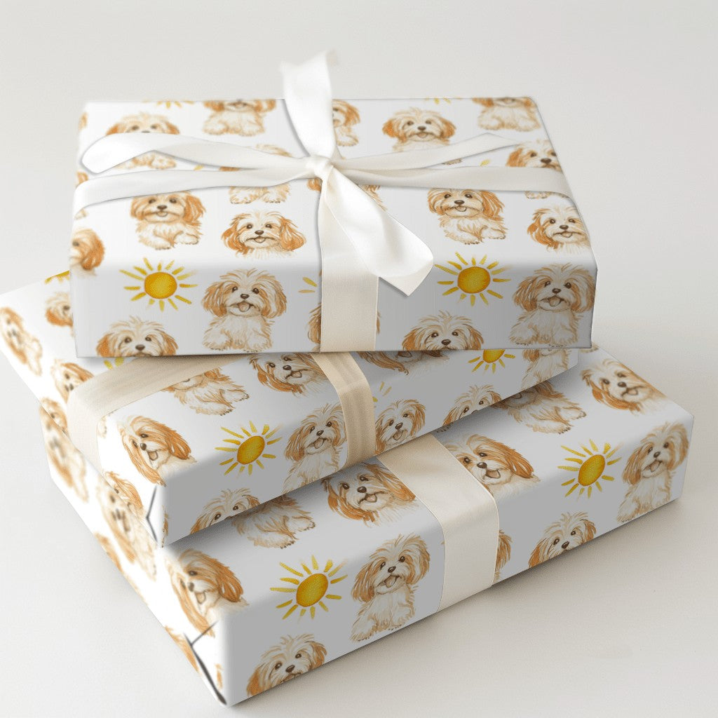 Product 5