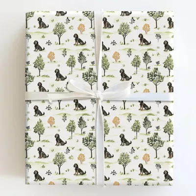 Park Day with the Boykin Spaniel - Gift Wrap for Christmas, Holidays Wrapping Paper, Christmas Wrapping Paper