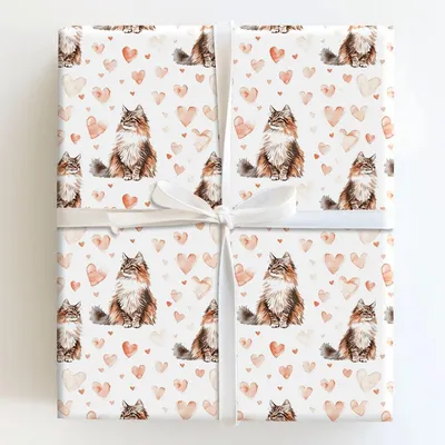 Maine Coon Valentine - Gift Wrap for Christmas, Holidays Wrapping Paper, Christmas Wrapping Paper