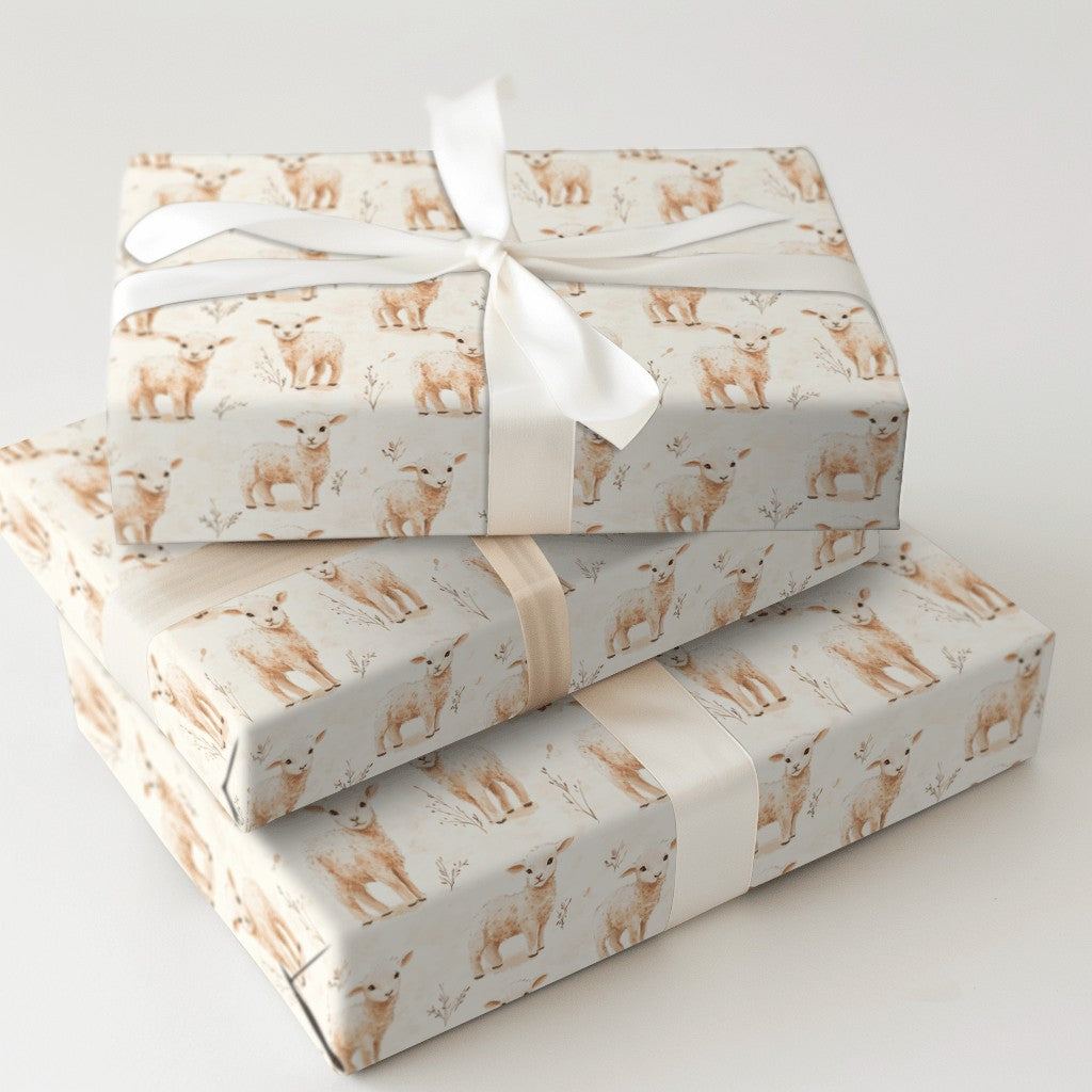 Product 5