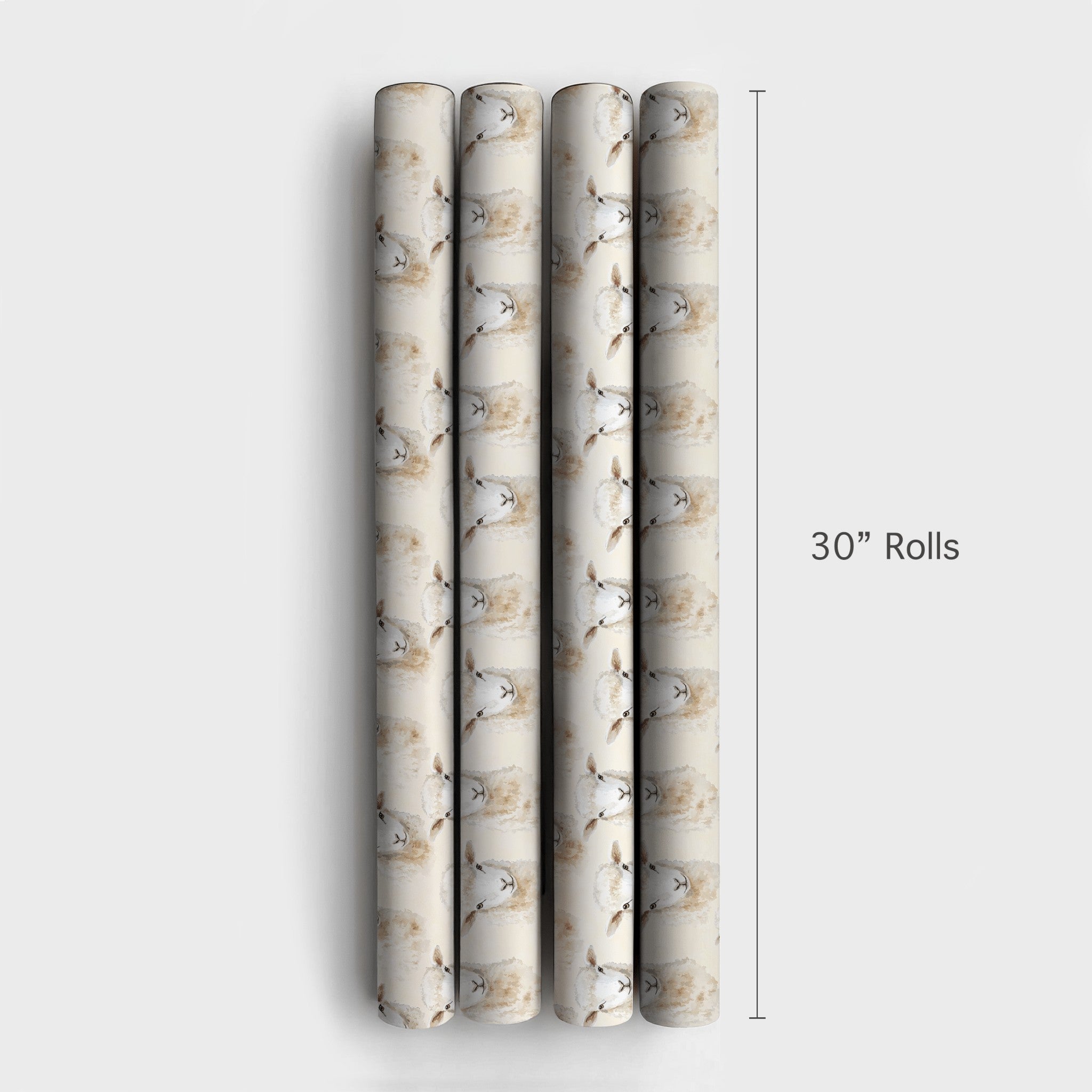 Product 4