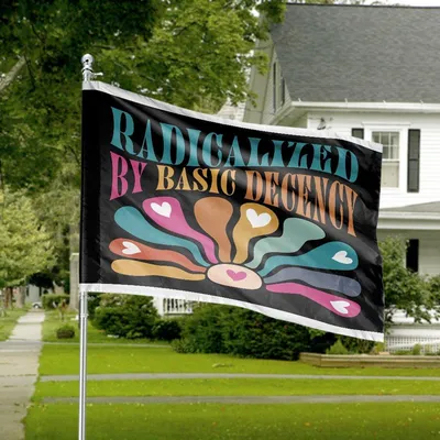 Radicalized By Basic Decency Horizontal House Flag, Groovy Colors, Abstract Hearts, Political Yard Decor Horizontal House Flag