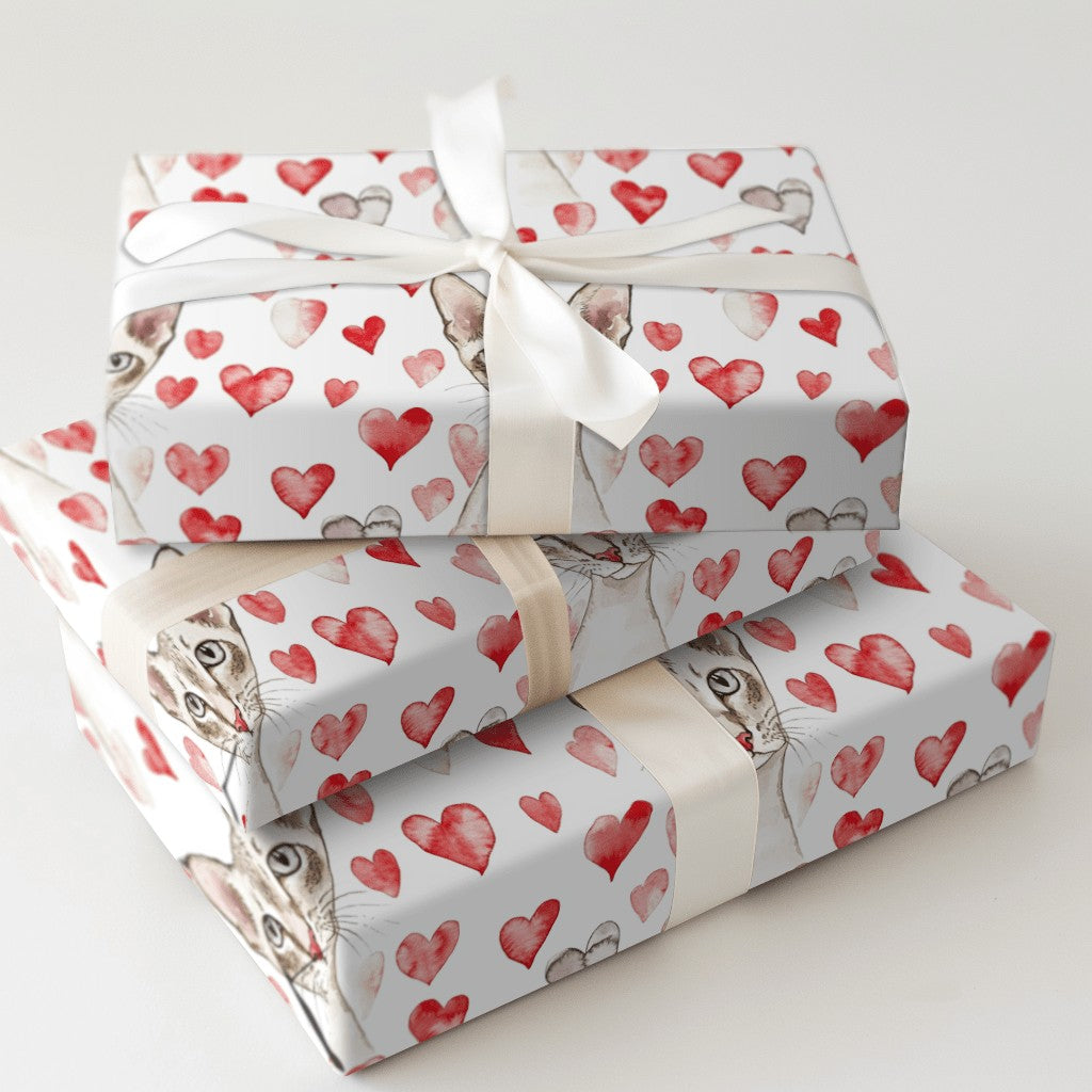 Product 5