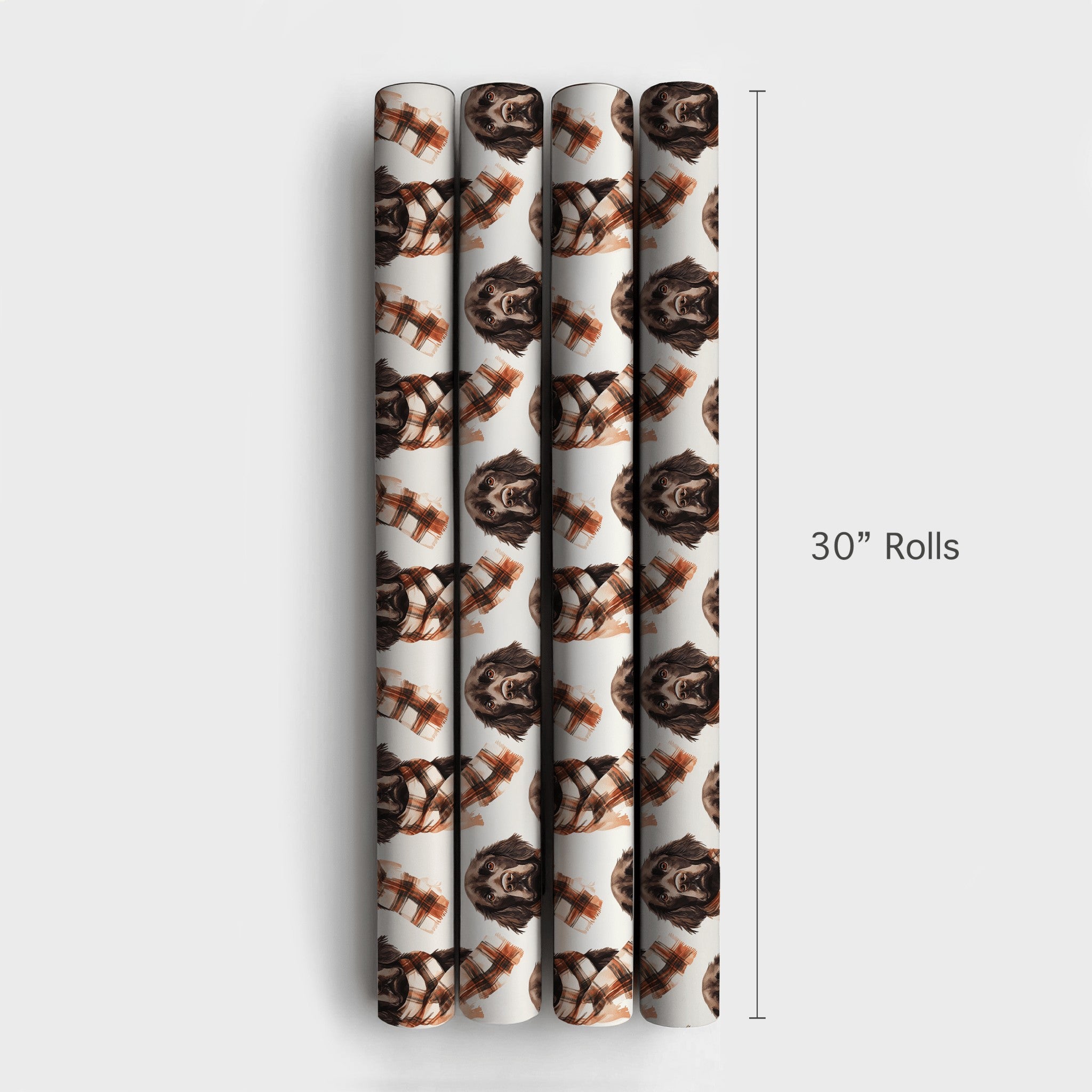 Product 4