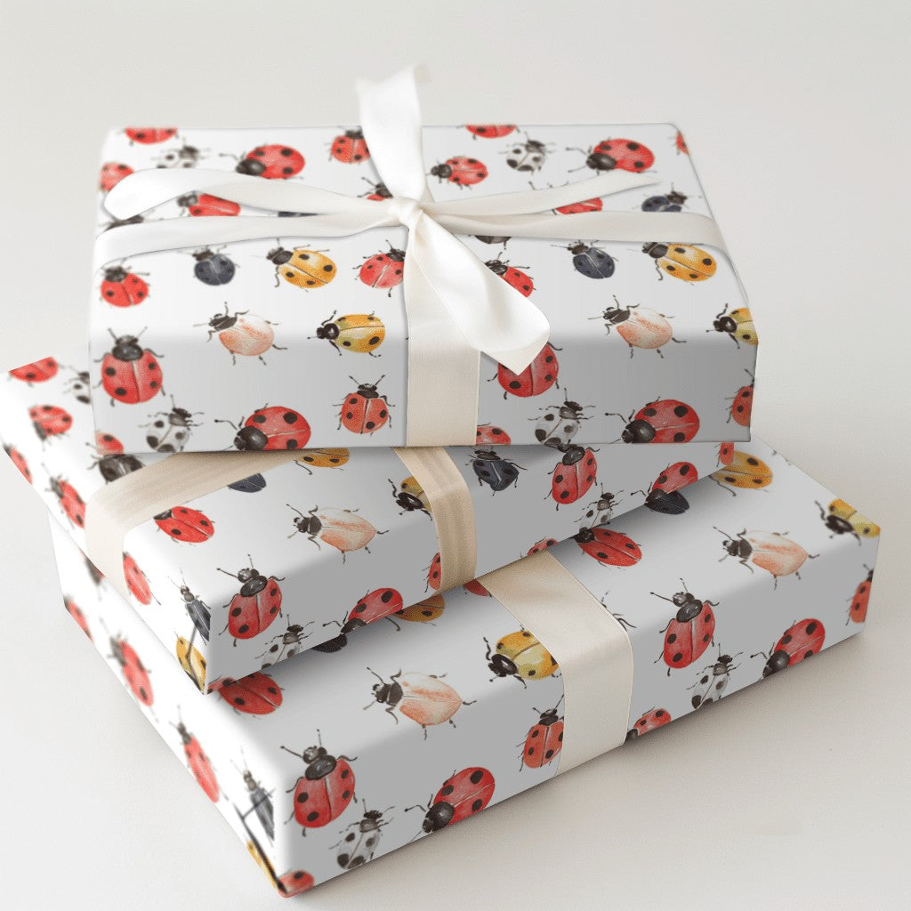 Product 5