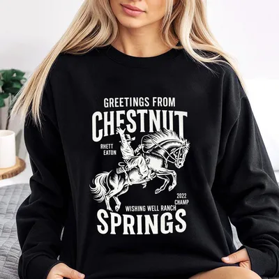 Greetings From Chestnut Springs Wishing Well Ranch Sweatshirt Rodeo Reader Gift Sweatshirt Elsie Silver Bookish Sweatshirt