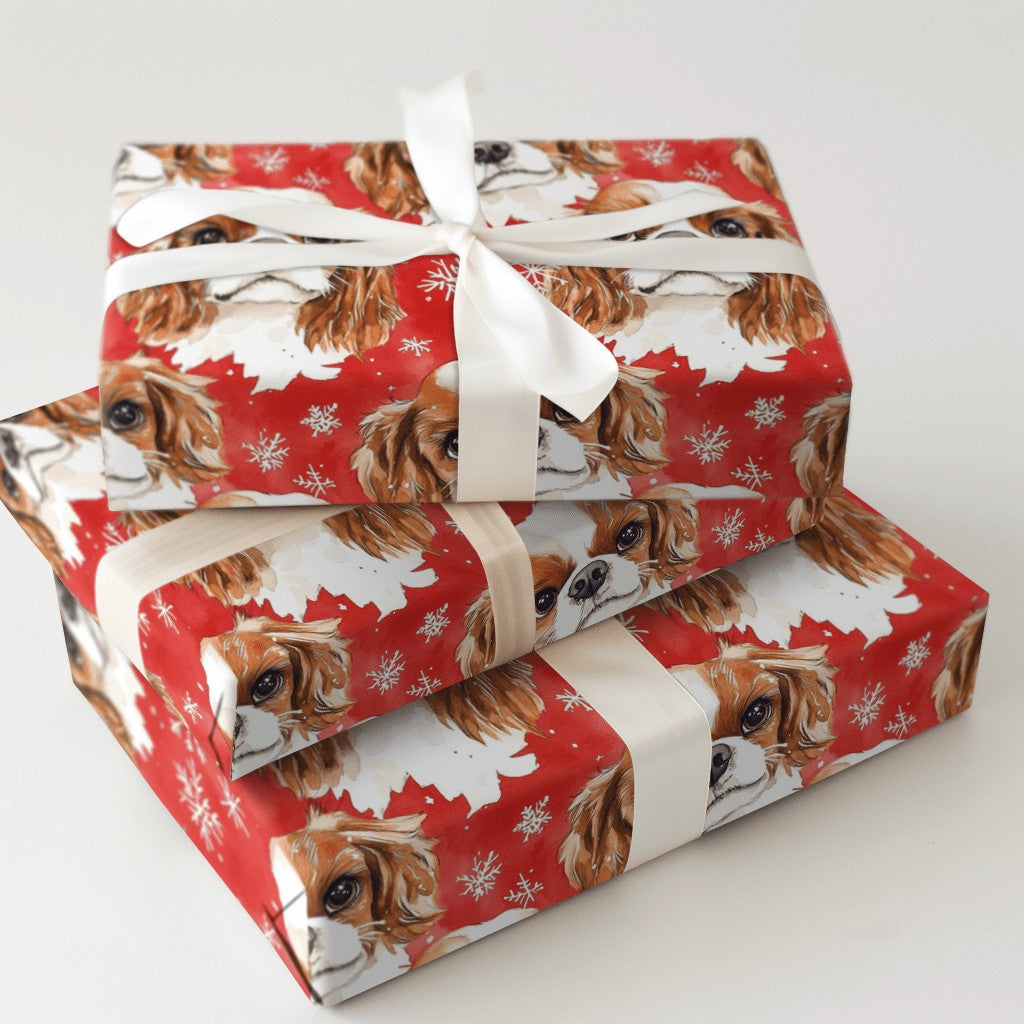 Product 5