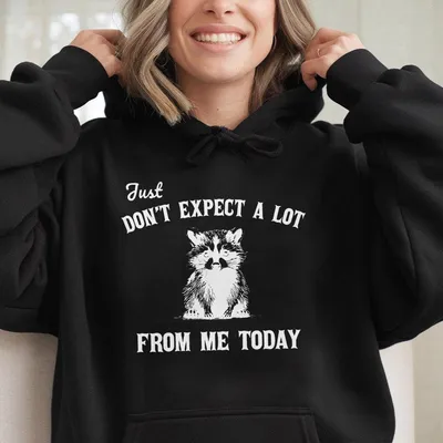 Don'T Expect A Lot From Me Today Hoodie Funny Sarcastic Raccoon Hoodie Retro Graphic Hoodie Trendy Meme Hoodie