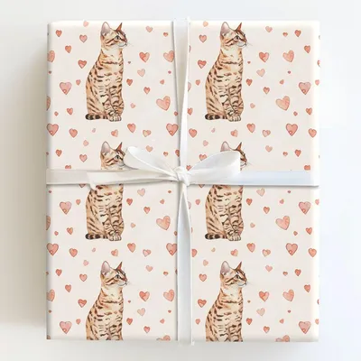 Here Pretty Kitty - Gift Wrap for Christmas, Holidays Wrapping Paper, Christmas Wrapping Paper