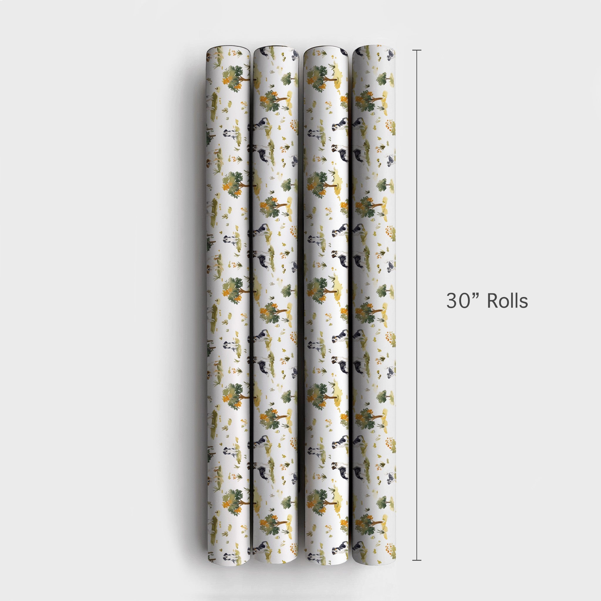 Product 4