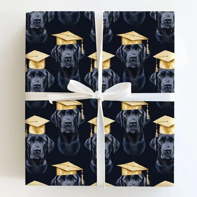 Lab Tested Diploma Approved - Gift Wrap for Christmas, Holidays Wrapping Paper, Christmas Wrapping Paper