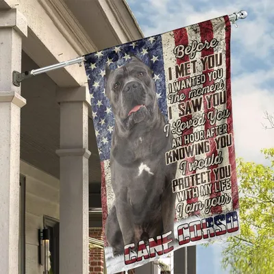 Cane Corso Dog American Flag Vertical House Flag Patriotic Pet Lover Gift Before I Met You Quote Outdoor Yard Decoration Vertical House Flag