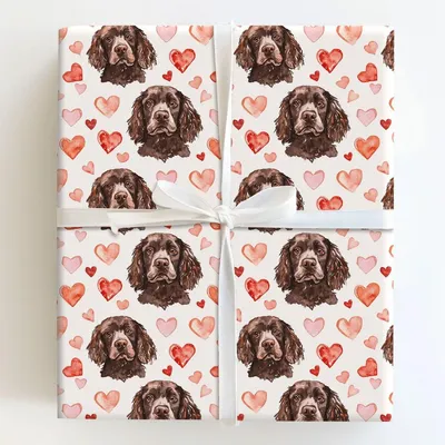 Boykin Spaniel Valentine - Gift Wrap for Christmas, Holidays Wrapping Paper, Christmas Wrapping Paper