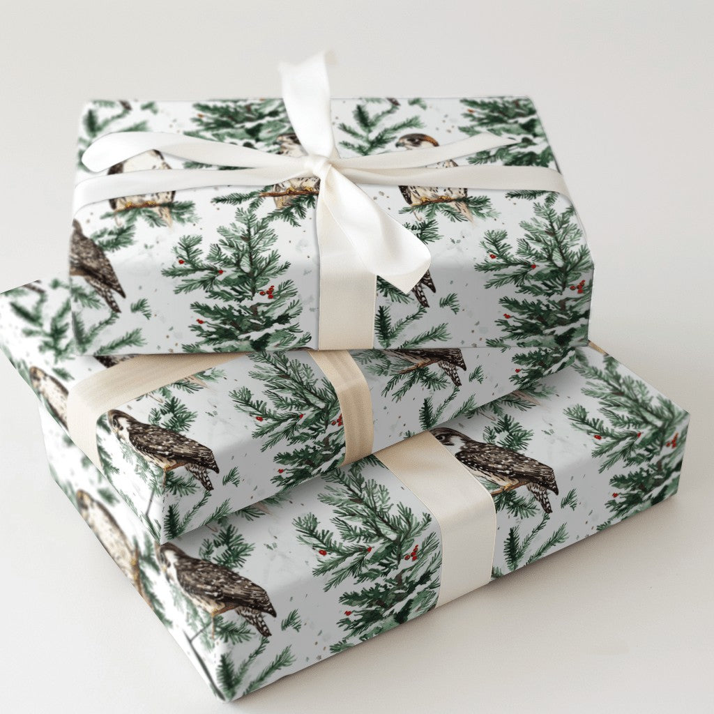Product 5
