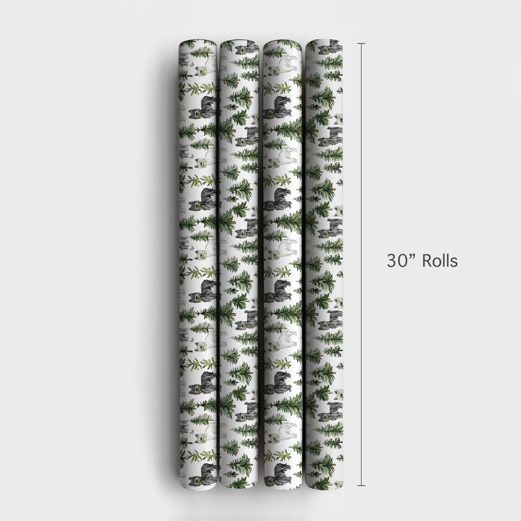 Product 6