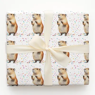 Confetti Cappy - Gift Wrap for Christmas, Holidays Wrapping Paper, Christmas Wrapping Paper