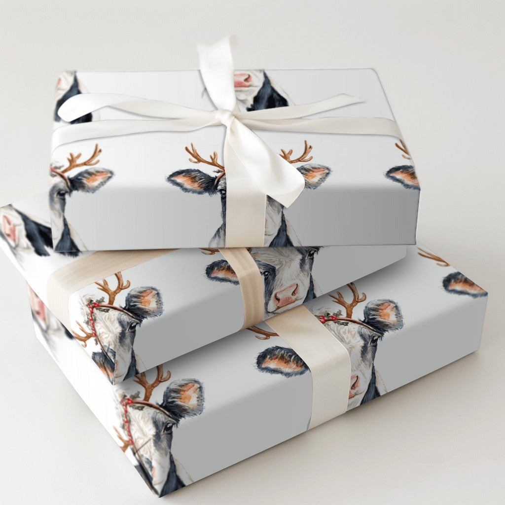 Product 7