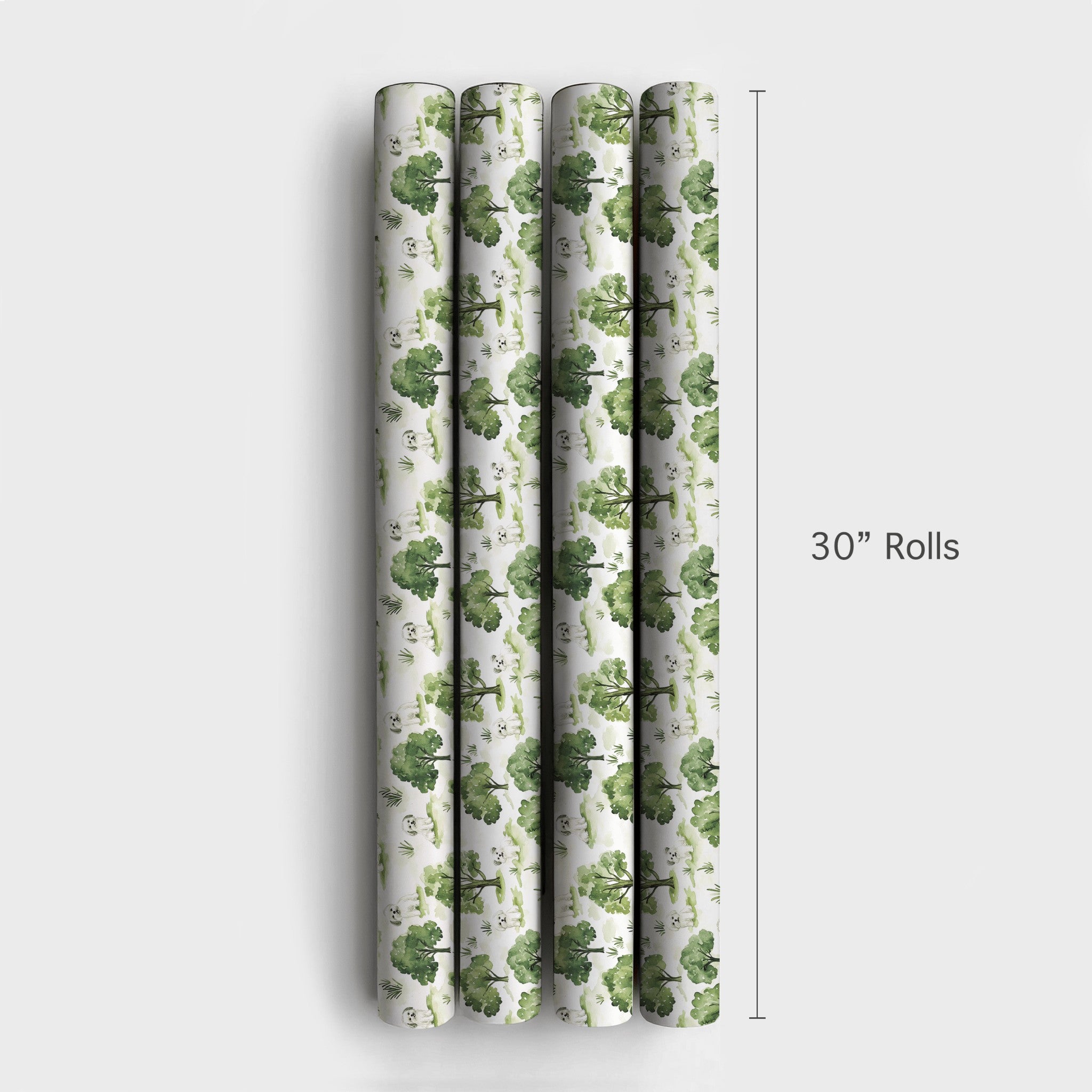 Product 4