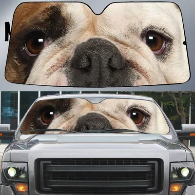 Cute English Bulldog's Eyes Beautiful Dog Eyes Car Sun Shade Cover Auto Windshield