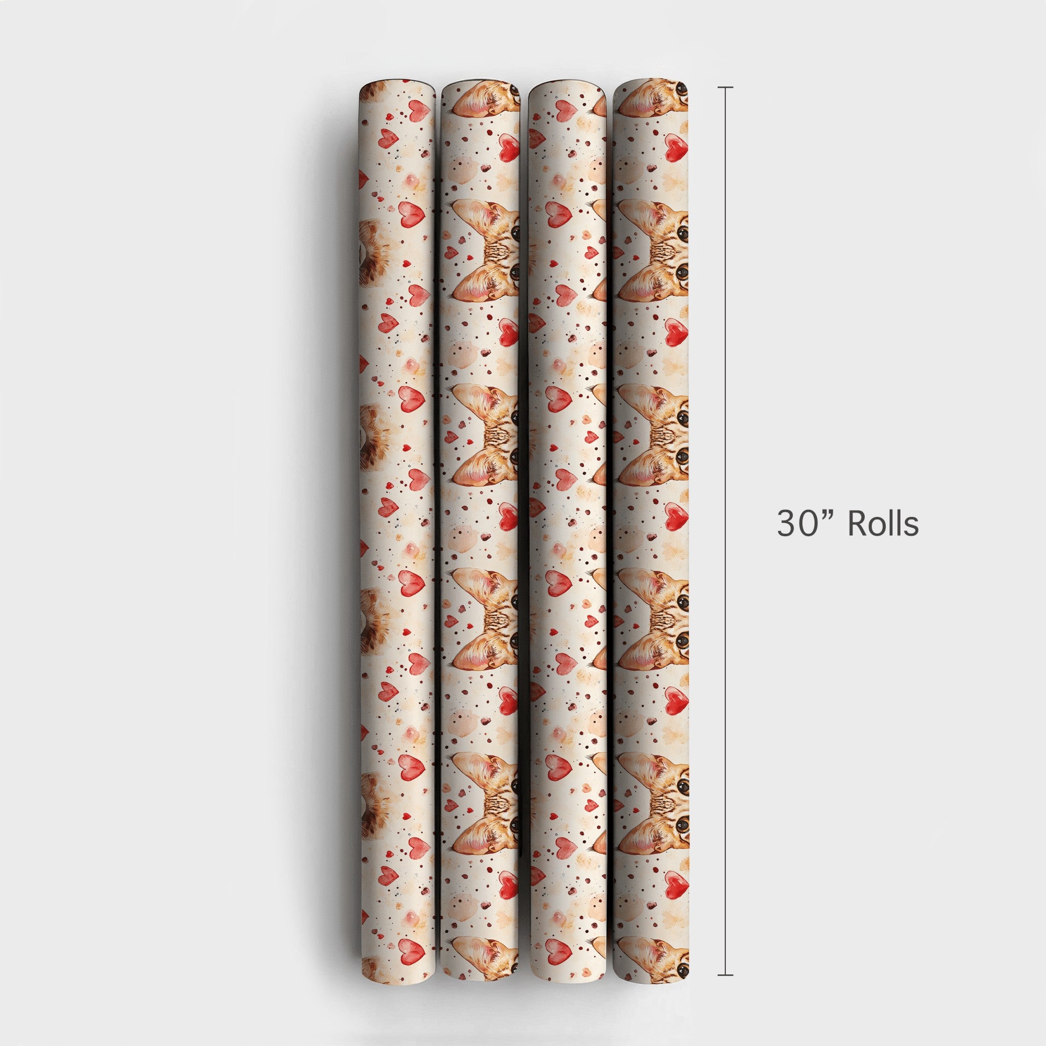 Product 4