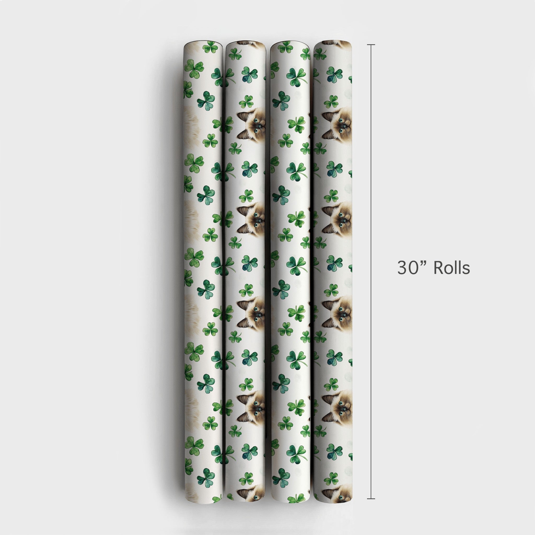 Product 4