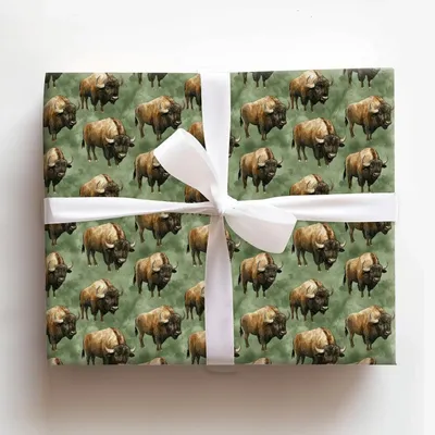 Expanse and Star - Gift Wrap for Christmas, Holidays Wrapping Paper, Christmas Wrapping Paper