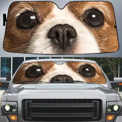 Cavalier King Spaniel's Eyes Beautiful Dog Eyes Car Sun Shade Cover Auto Windshield
