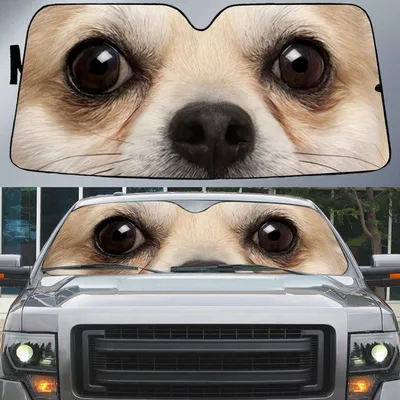 Chihuahua's Eyes Beautiful Dog Eyes Car Sun Shade Cover Auto Windshield
