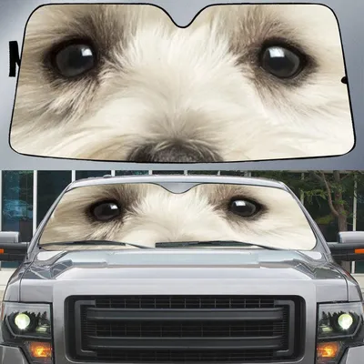 West Highland Terrier's Eyes Beautiful Dog Eyes Car Sun Shade Cover Auto Windshield