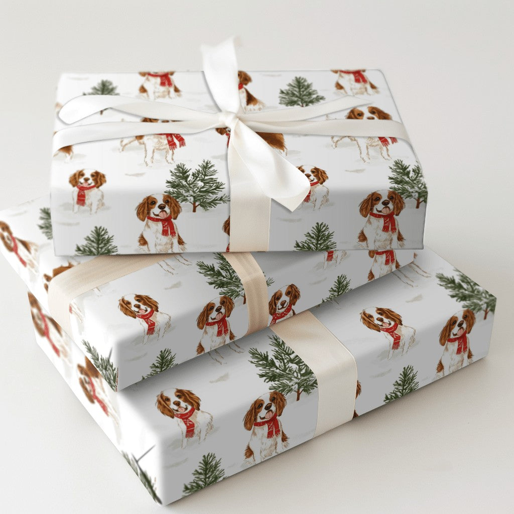 Product 5