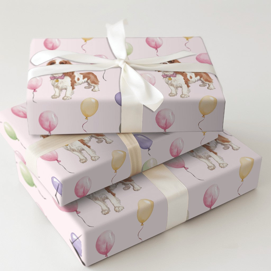 Product 5