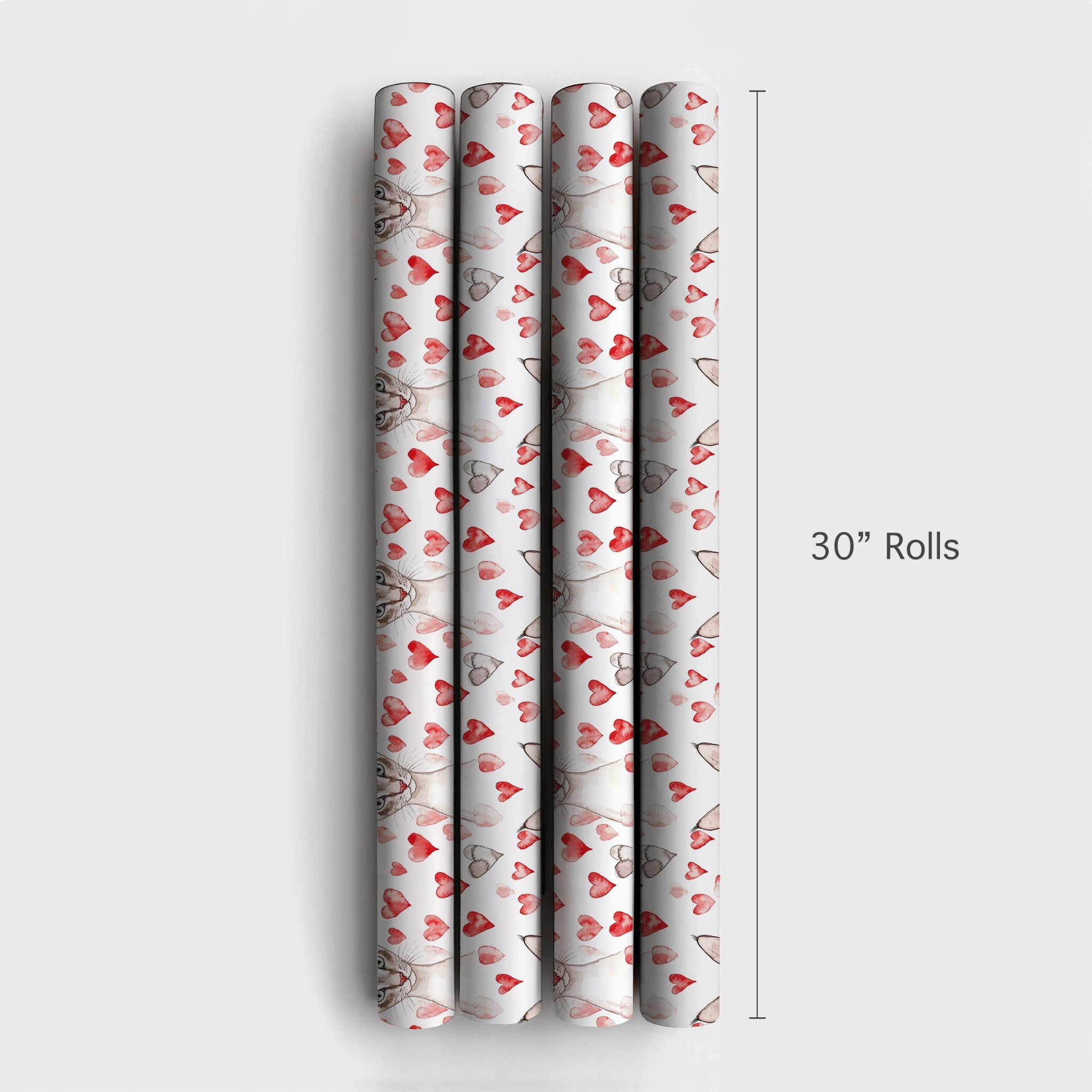 Product 4