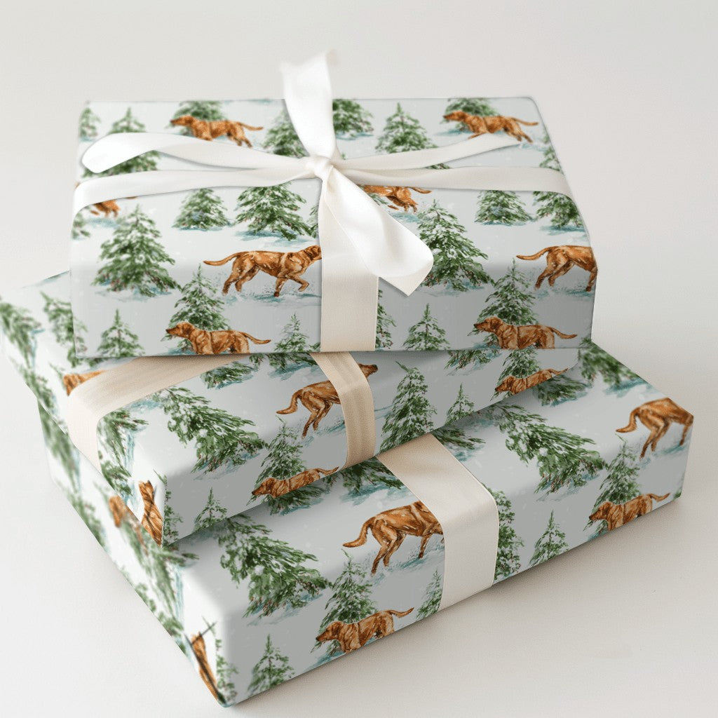 Product 7