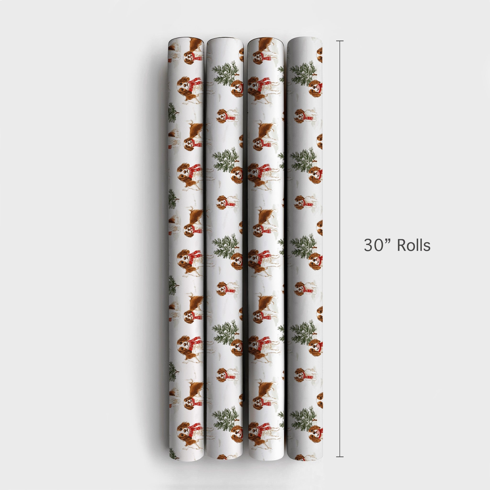 Product 4