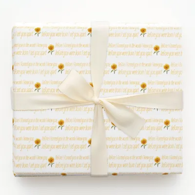 Set You Apart - Gift Wrap for Christmas, Holidays Wrapping Paper, Christmas Wrapping Paper
