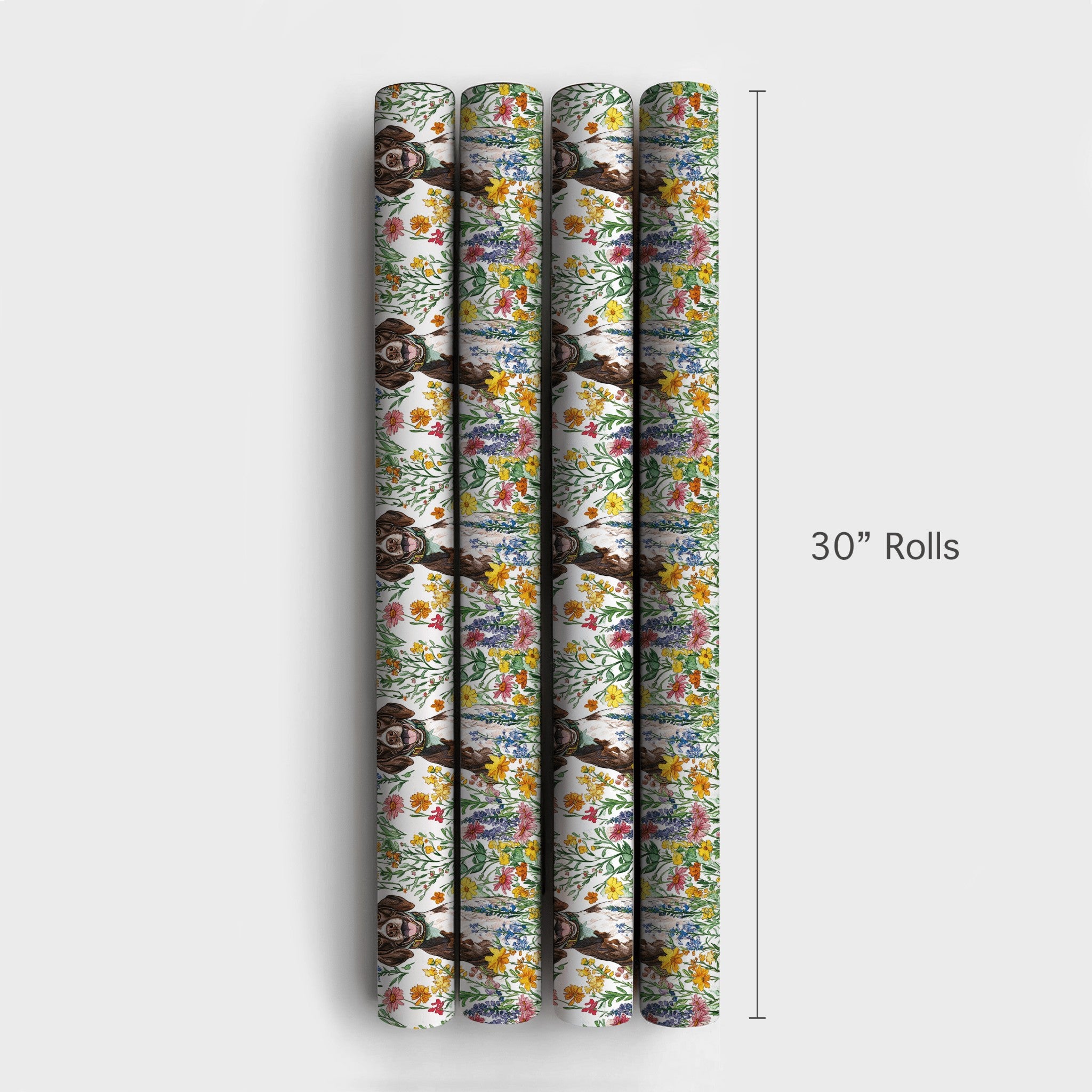 Product 4