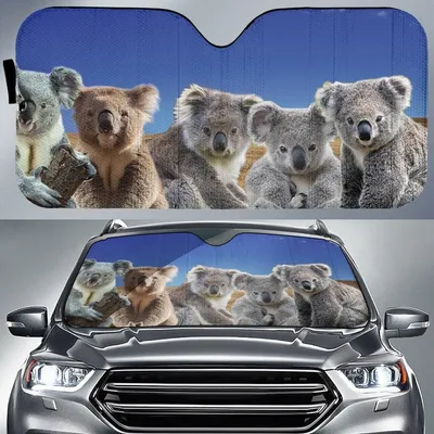 Five Koala Friends For Animals Lovers Printed Car Sun Shade Cover Auto Windshield PrintSyde