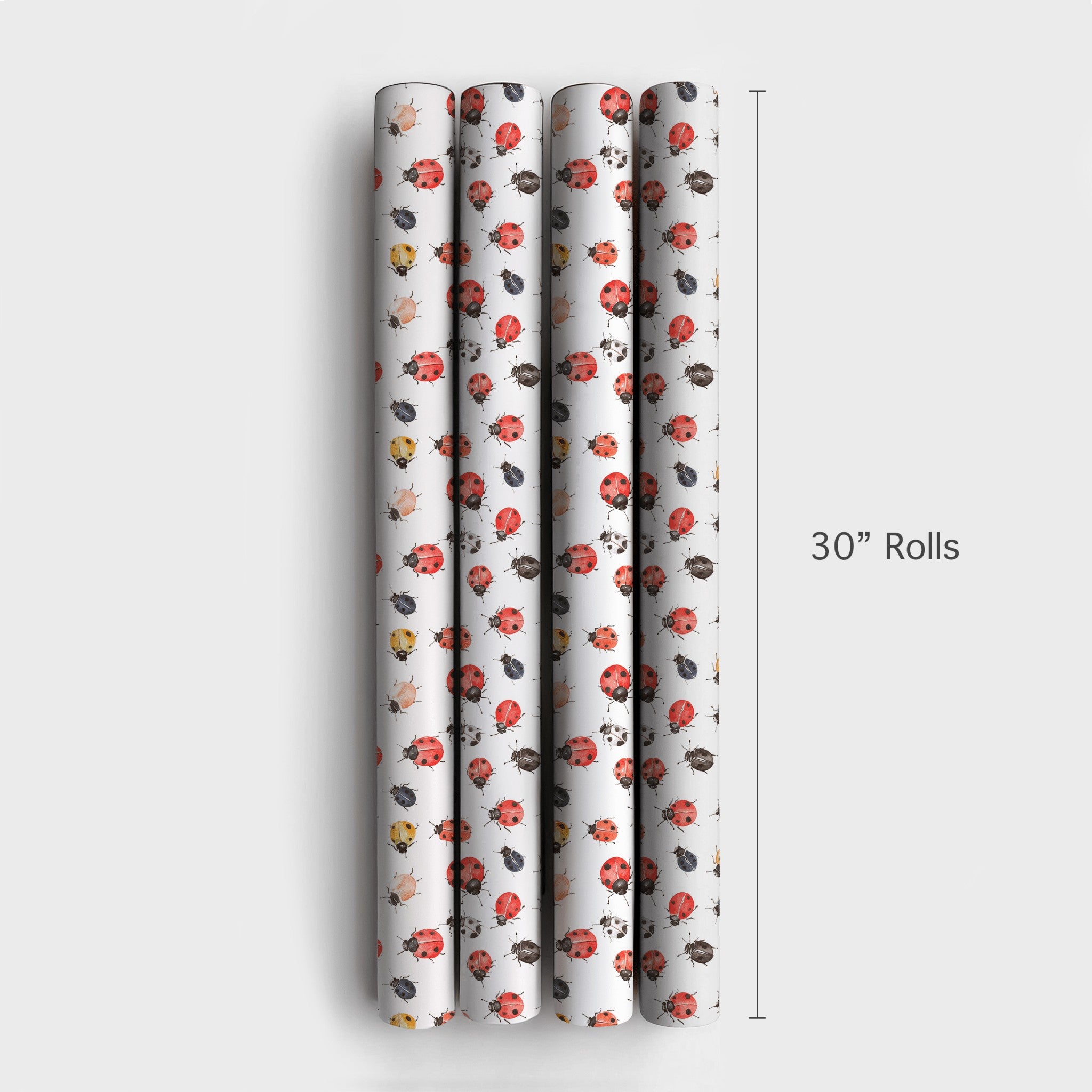 Product 4