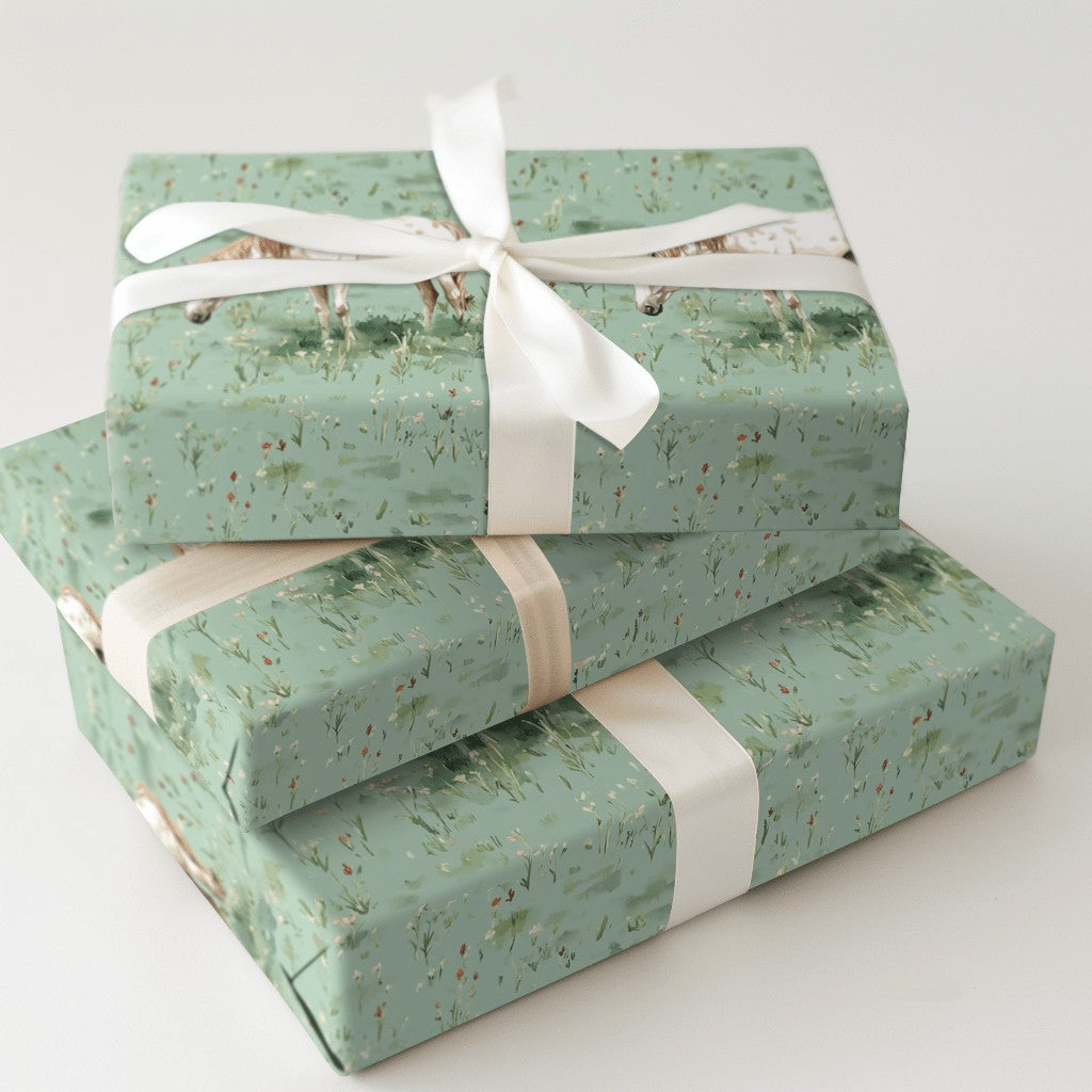 Product 5