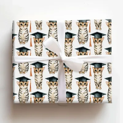 Cattin Off to College - Gift Wrap for Christmas, Holidays Wrapping Paper, Christmas Wrapping Paper