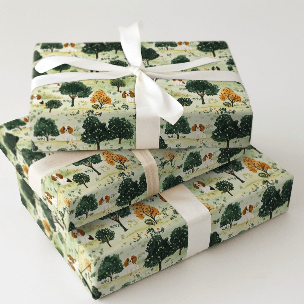 Product 5