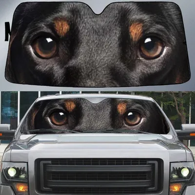 Cool Dachshund's Eyes Beautiful Dog Eyes Car Sun Shade Cover Auto Windshield