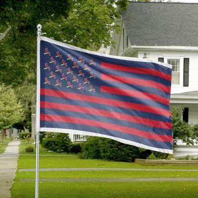 Cardinal American Flag House Flag, Red And Navy Patriotic Design, Bird Symbol On Striped Background Horizontal House Flag